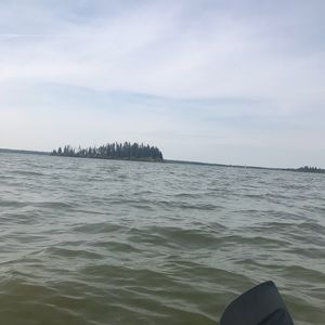 Meet your Posher, Manmeet